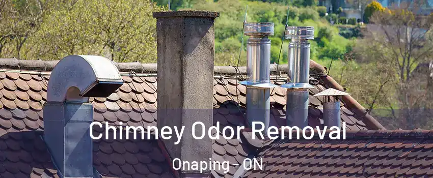  Chimney Odor Removal Onaping - ON