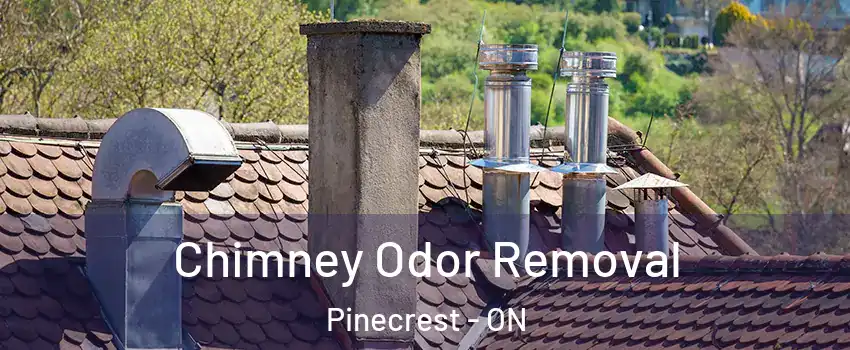  Chimney Odor Removal Pinecrest - ON