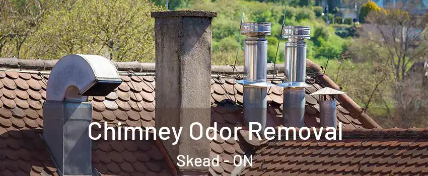  Chimney Odor Removal Skead - ON