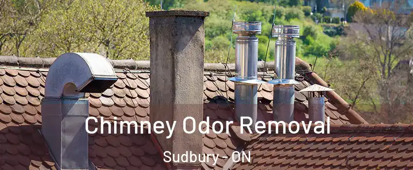  Chimney Odor Removal Sudbury - ON