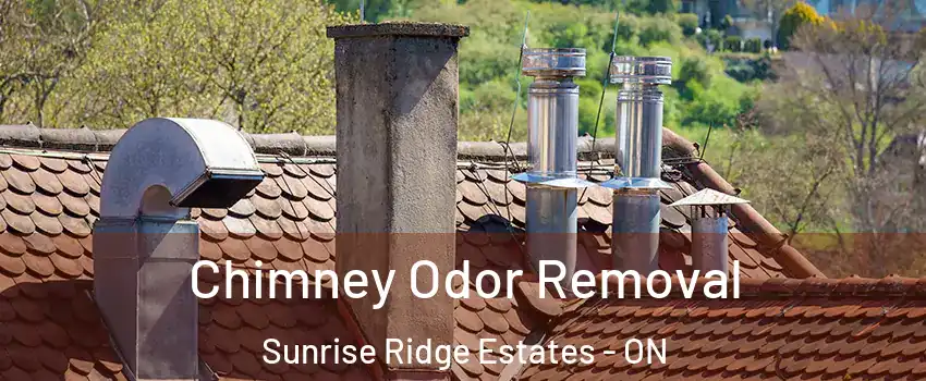  Chimney Odor Removal Sunrise Ridge Estates - ON