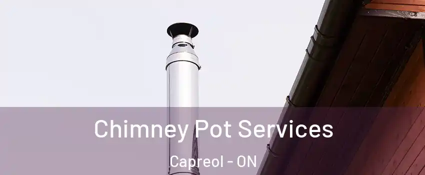  Chimney Pot Services Capreol - ON