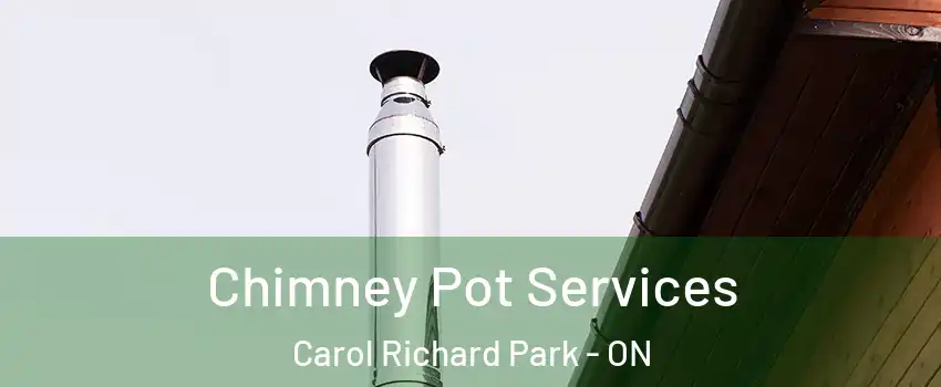  Chimney Pot Services Carol Richard Park - ON