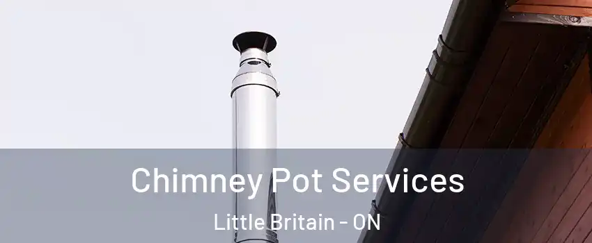  Chimney Pot Services Little Britain - ON