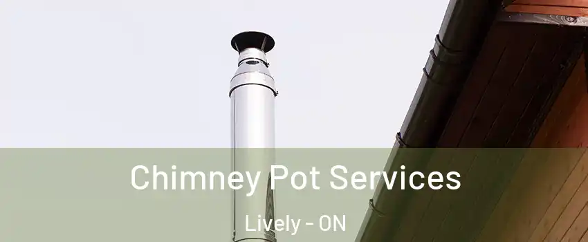  Chimney Pot Services Lively - ON