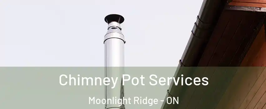  Chimney Pot Services Moonlight Ridge - ON
