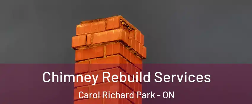  Chimney Rebuild Services Carol Richard Park - ON