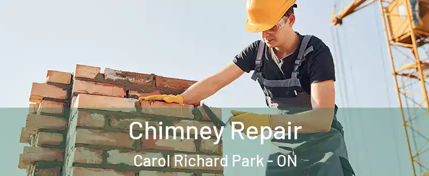  Chimney Repair Carol Richard Park - ON