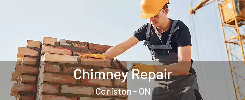  Chimney Repair Coniston - ON