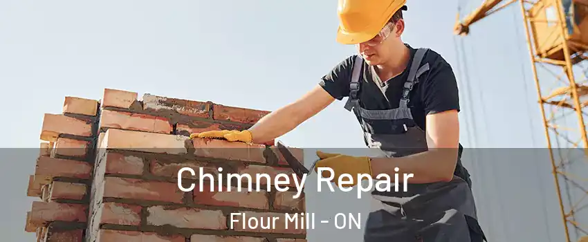  Chimney Repair Flour Mill - ON