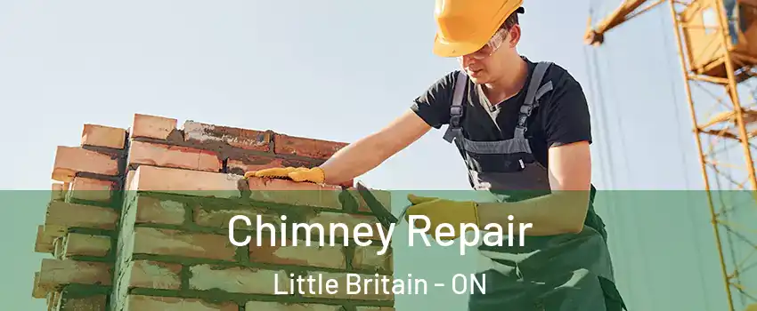  Chimney Repair Little Britain - ON