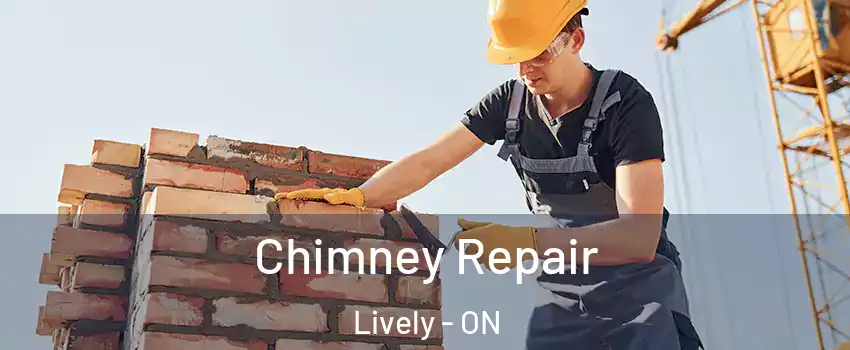  Chimney Repair Lively - ON