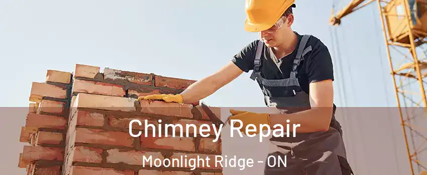  Chimney Repair Moonlight Ridge - ON