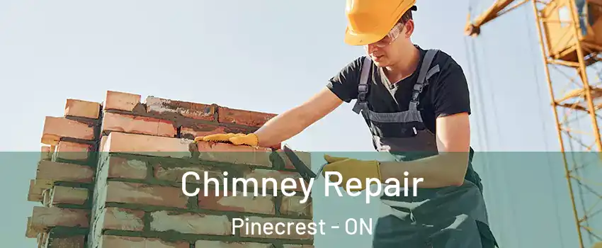  Chimney Repair Pinecrest - ON