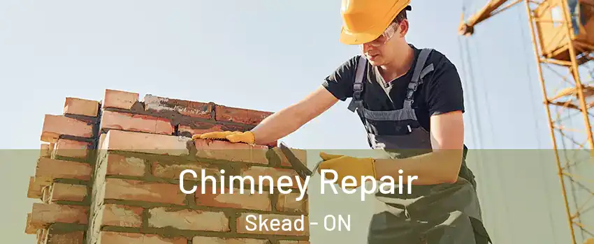  Chimney Repair Skead - ON