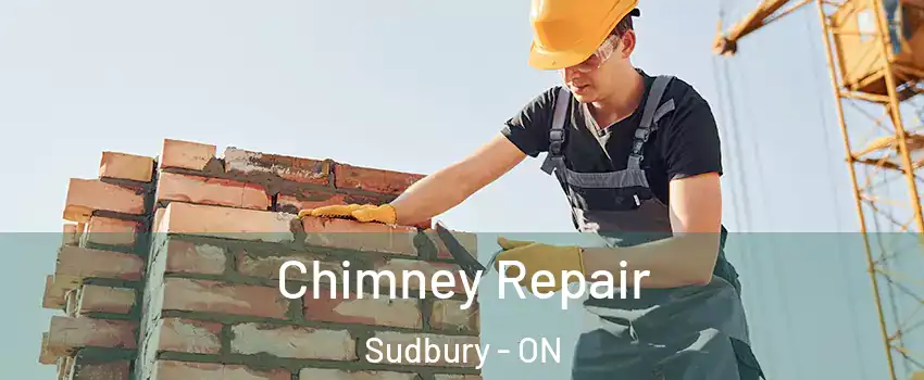  Chimney Repair Sudbury - ON