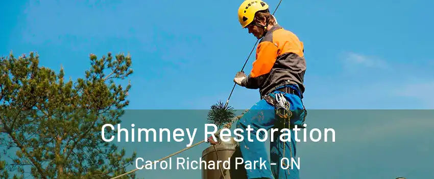  Chimney Restoration Carol Richard Park - ON