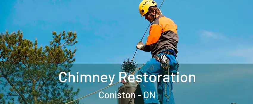  Chimney Restoration Coniston - ON