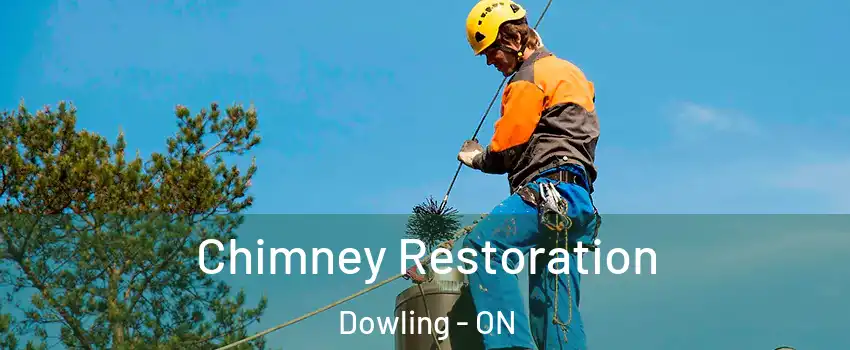  Chimney Restoration Dowling - ON