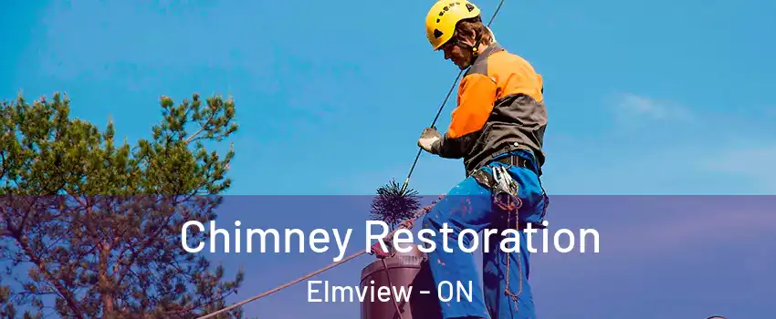  Chimney Restoration Elmview - ON