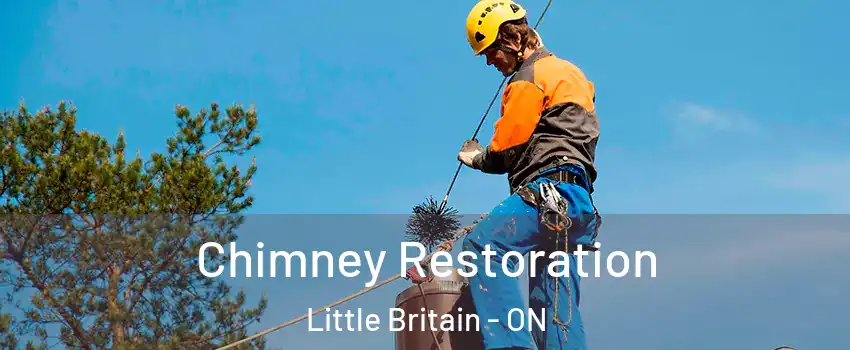  Chimney Restoration Little Britain - ON