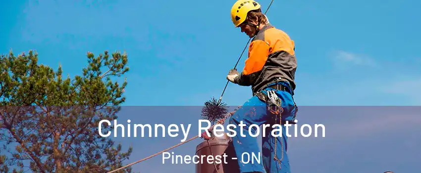  Chimney Restoration Pinecrest - ON