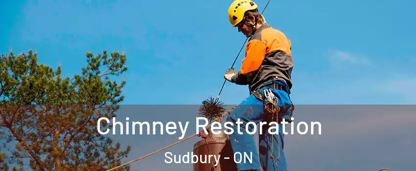  Chimney Restoration Sudbury - ON