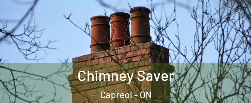  Chimney Saver Capreol - ON