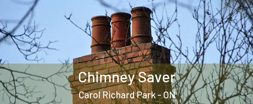  Chimney Saver Carol Richard Park - ON