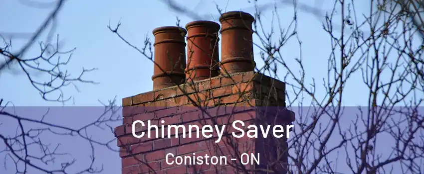  Chimney Saver Coniston - ON