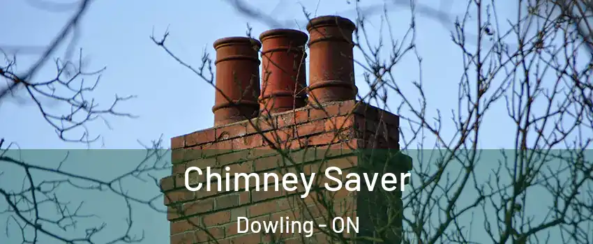  Chimney Saver Dowling - ON
