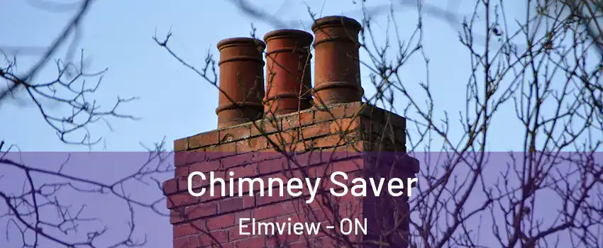  Chimney Saver Elmview - ON
