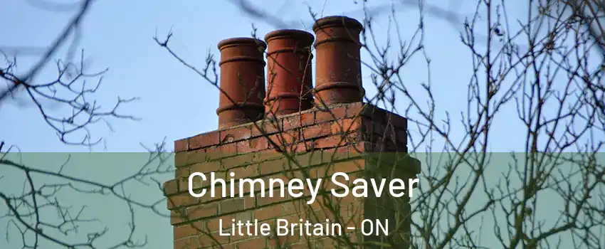  Chimney Saver Little Britain - ON