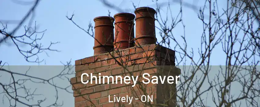  Chimney Saver Lively - ON