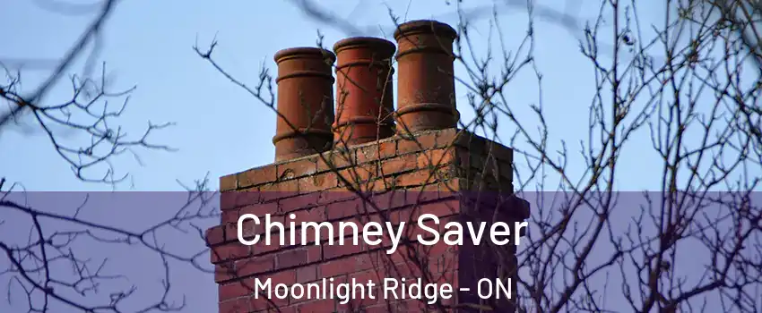  Chimney Saver Moonlight Ridge - ON