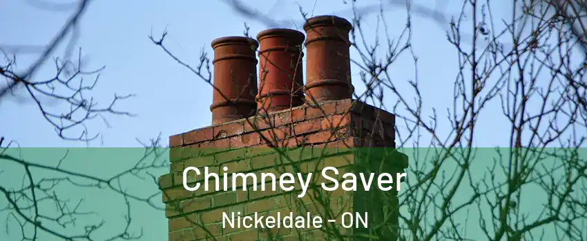  Chimney Saver Nickeldale - ON