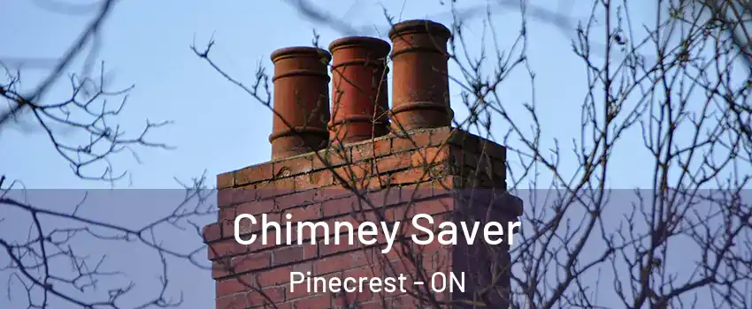  Chimney Saver Pinecrest - ON