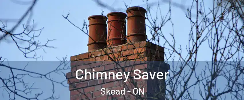  Chimney Saver Skead - ON