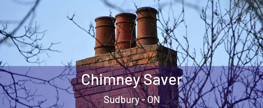  Chimney Saver Sudbury - ON