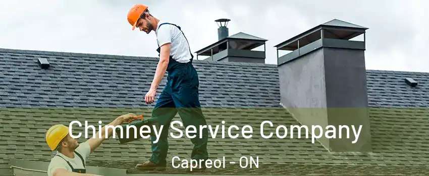  Chimney Service Company Capreol - ON