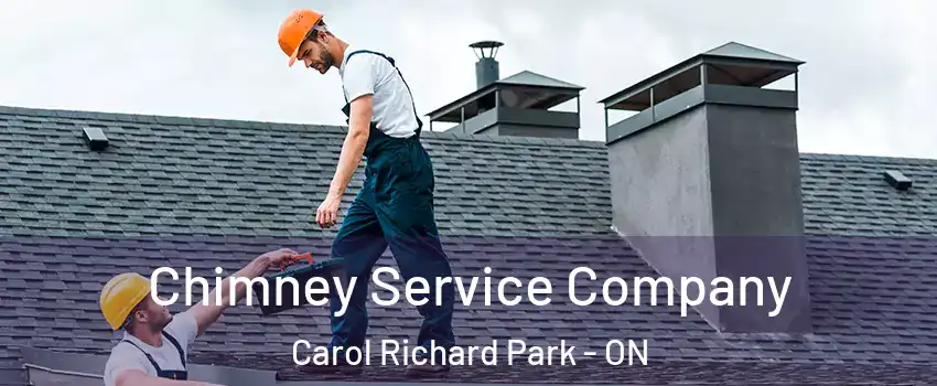  Chimney Service Company Carol Richard Park - ON