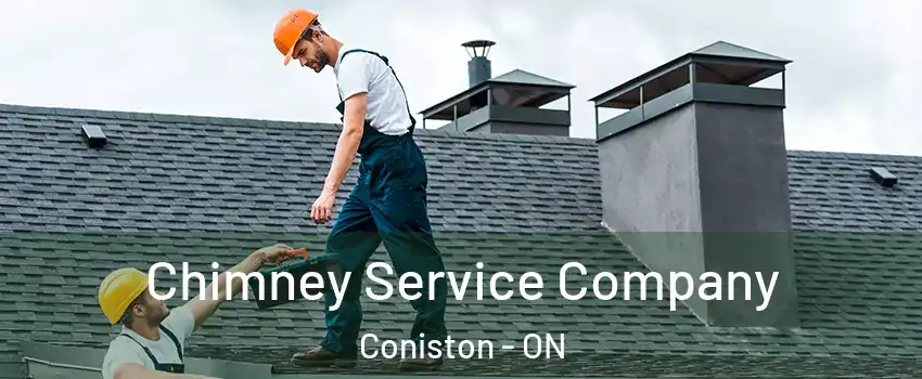  Chimney Service Company Coniston - ON