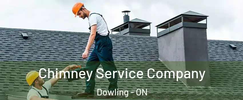  Chimney Service Company Dowling - ON