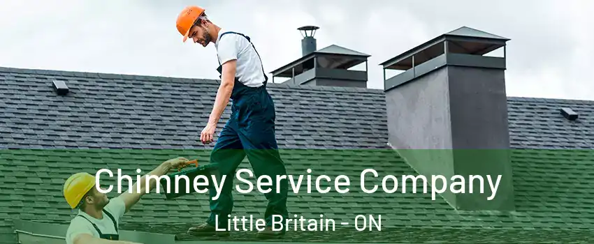  Chimney Service Company Little Britain - ON
