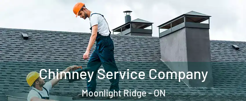  Chimney Service Company Moonlight Ridge - ON