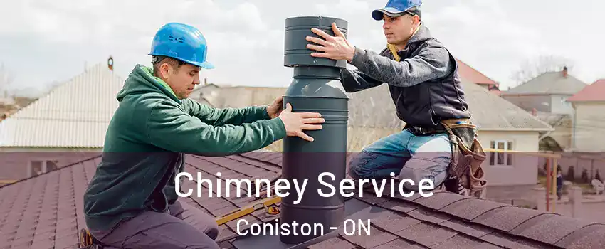 Chimney Service Coniston - ON