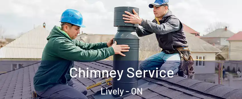  Chimney Service Lively - ON