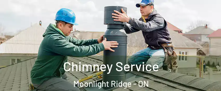  Chimney Service Moonlight Ridge - ON
