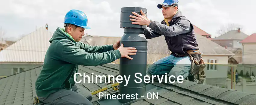  Chimney Service Pinecrest - ON