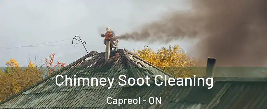 Chimney Soot Cleaning Capreol - ON